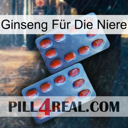 Ginseng Für Die Niere 05